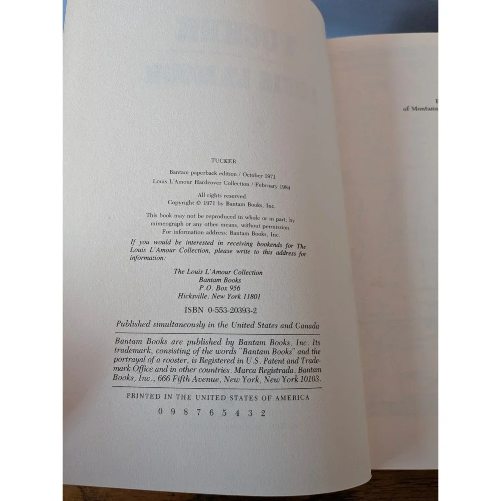 Bantam Books crazy standard used